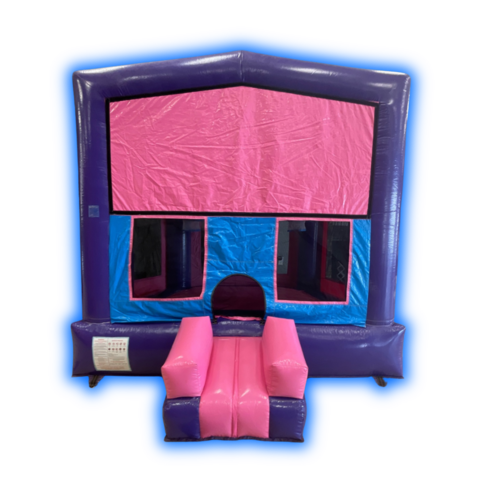 103 Pink & Purple Module