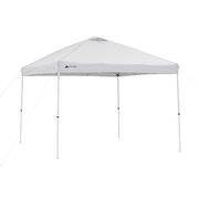 10'x10' Canopy tent