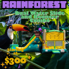 Rainforest Dual Water Slide and Bouncer Combo