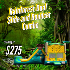 Rainforest Dual Slide and Bouncer Combo