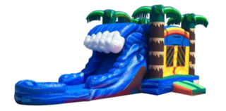 Tropical Combo With Double Lane Slide