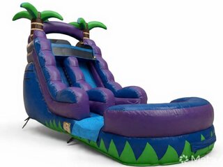 16 FT Palm Tree Plunge Water Slide
