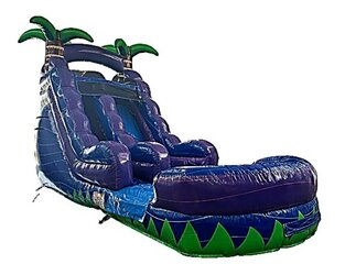 16 FT Palm Tree Plunge Water Slide