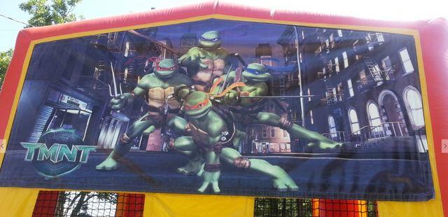 Ninja Turtle Panel #037