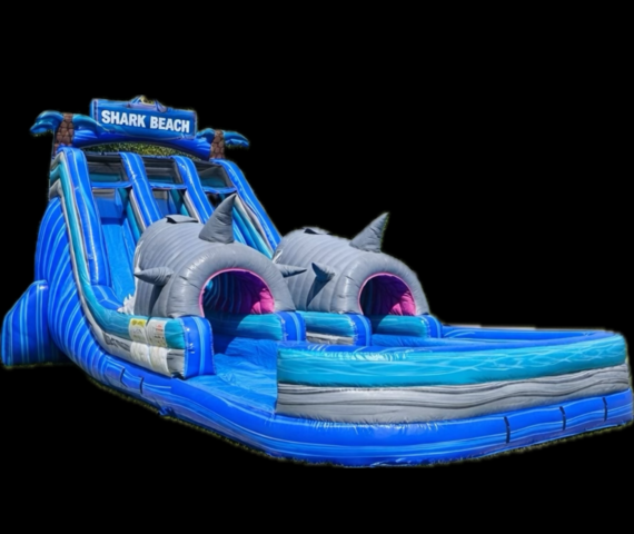 Shark Beach