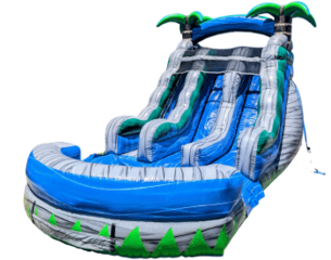 Dual Lane Palm Tree Blue Crush Water slide
