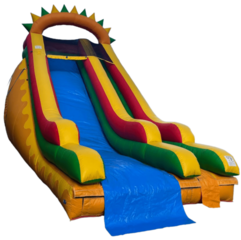 Giant Dino Dry Use Slide