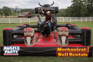 Mechanical Bull Rental