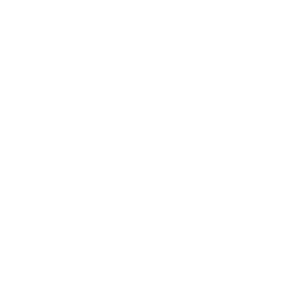 Computer icon