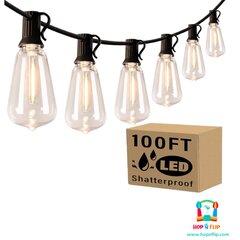 string lights (100 feet)