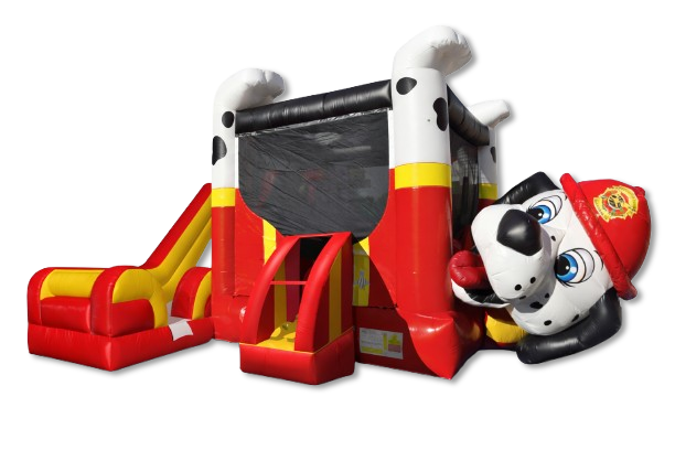 Dalmatian Combo Wet or Dry