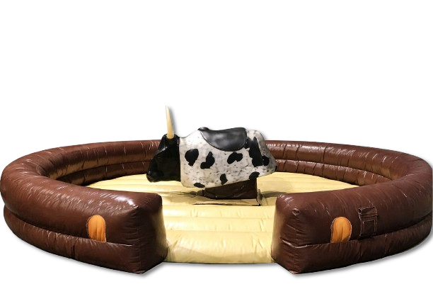 Mechanical Bull