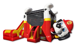 Dalmatian Combo Wet/Dry