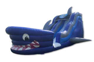 Shark Attack Waterslide