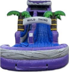 Wild Thing Waterslide