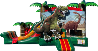 Dinosaur Dual Lane Combo Dry w/ Basketball Hoop