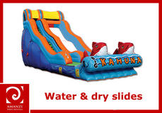 Water and Dry Slides