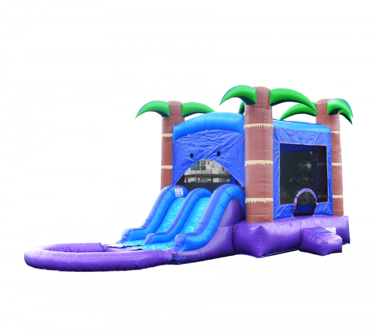 Enchanted Forest Bounce House Dual Lane Slide