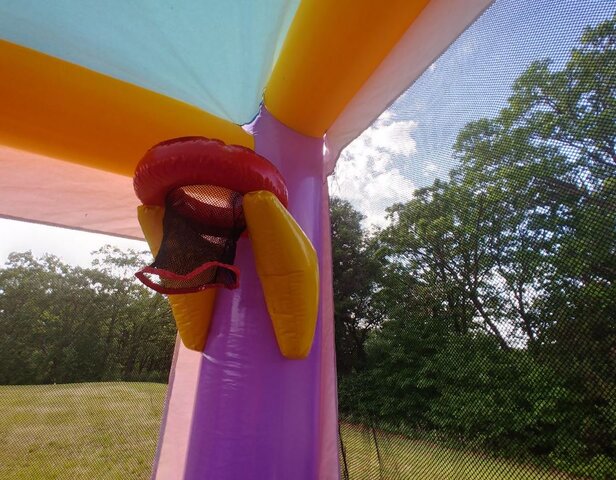 Girl Bounce House Rental near me - Humble, TX - Houston Inflatable Rentals