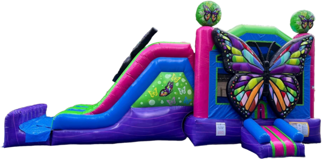 Beautiful Butterfly Bouncer with Dual Slides