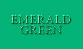 6ft Velvet Emerald Table Linen