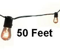 50Ft of Bistro Lights (customizable)