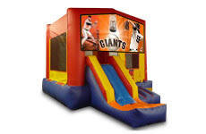 3 in 1 Giants with Slide