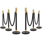 Stanchion Set - Black & Gold