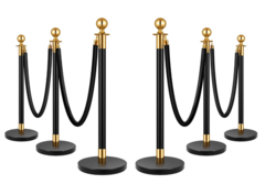 Black & Gold Stanchions