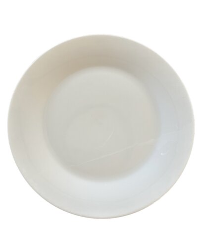 Winter White Dinner Plate