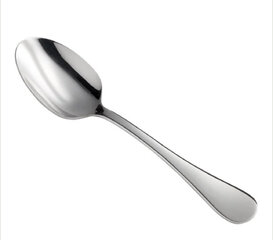  Stainless Steel Silver Teaspoon/Dessert Spoon