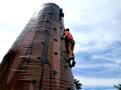 2 Person Inflatable Rock Climb Wall 