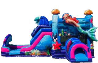 <h4><span style='color: #0000ff;'><strong>Mermaid Slide </strong></span></h4>