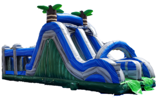 <h4><span style='color: #0000ff;'><strong>Tropical Double Lane Slide Combo </strong></span></h4>
