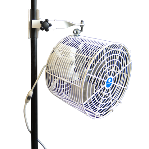 12in Tent Fan - Electric