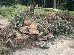 Yard Waste