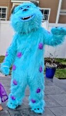 Sulley Monster Inc