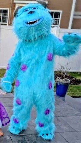 Sulley Monster Inc