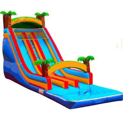 Tropical Double Water Slide (2103)