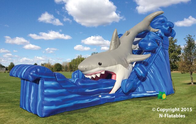 .Shark Slide 