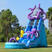 Octopus 25" Ft Water Slide