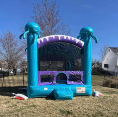 Squid Bounce House