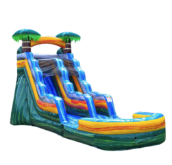 Tropical Palms Water Slide