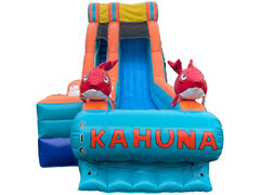 17' Big Kahuna Water Slide