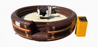 Mechanical Bull