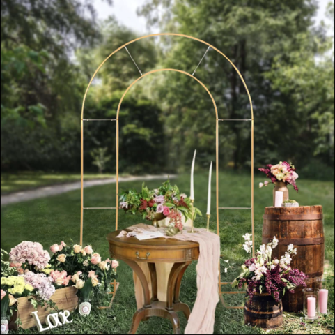 Metal Round Top Double Arch Wedding Backdrop Stand