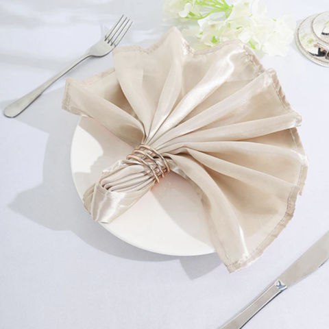 Satin Dinner Napkins Ivory