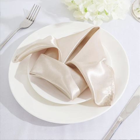 Satin Dinner Napkins Blush