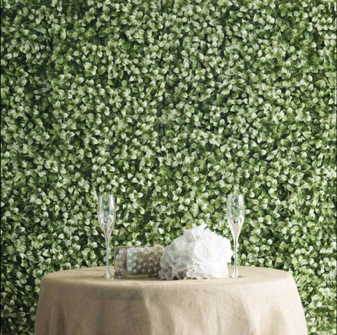 Boxwood Hedge Garden Wall Mat Backdrop (White Tips)