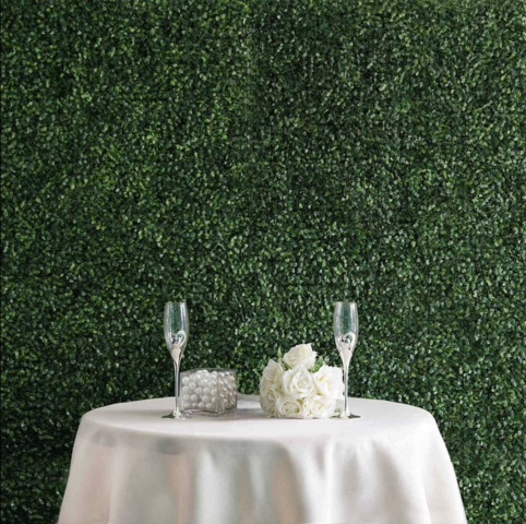 Boxwood Hedge Garden Wall Mat Backdrop (Small Leaves)